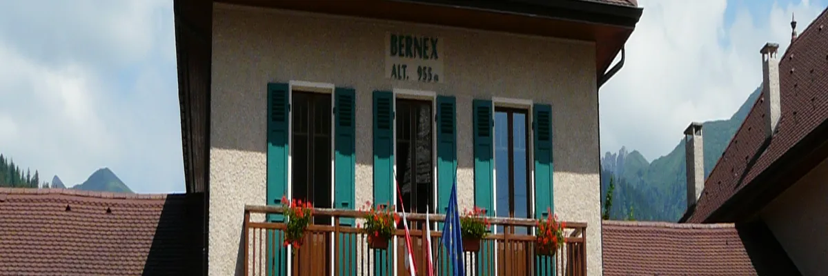 Image Monte escalier Bernex