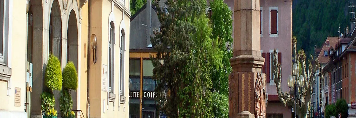 Image Monte escalier Cluses