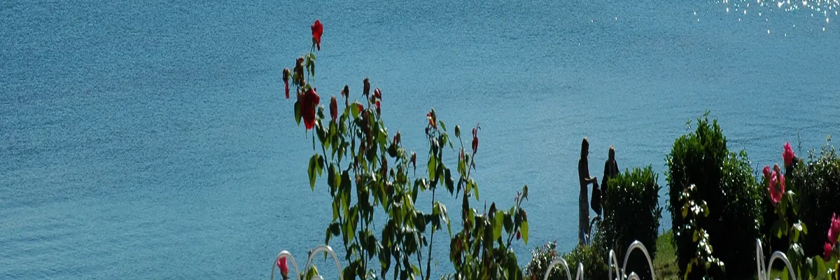 Image Monte escalier Excenevex