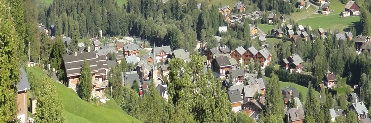 Image Monte escalier Praz-sur-Arly