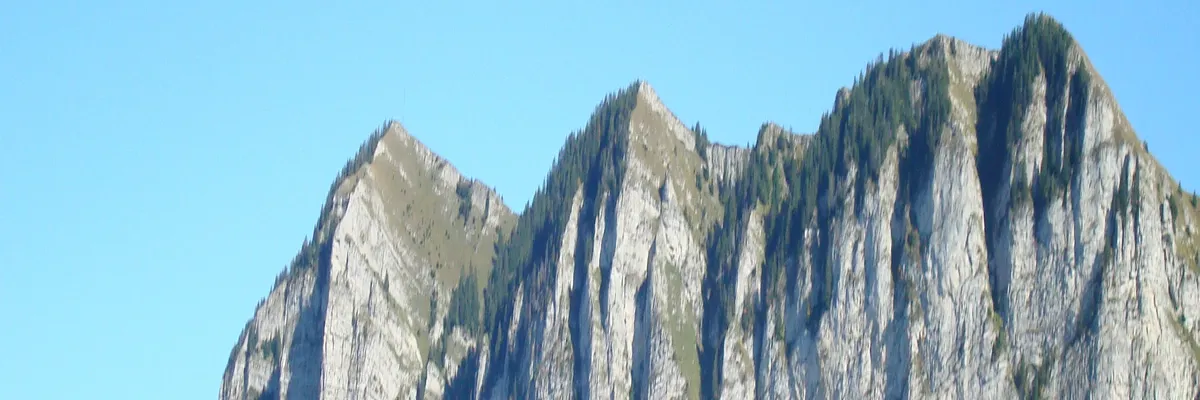 Image Monte escalier Thollon-les-Mémises