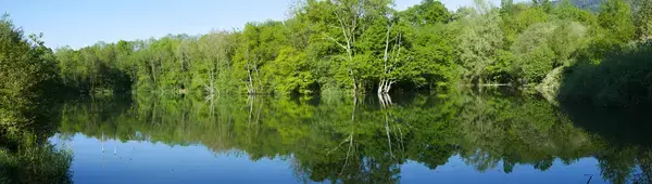 Monte Escalier 74 Monte escalier Lyaud